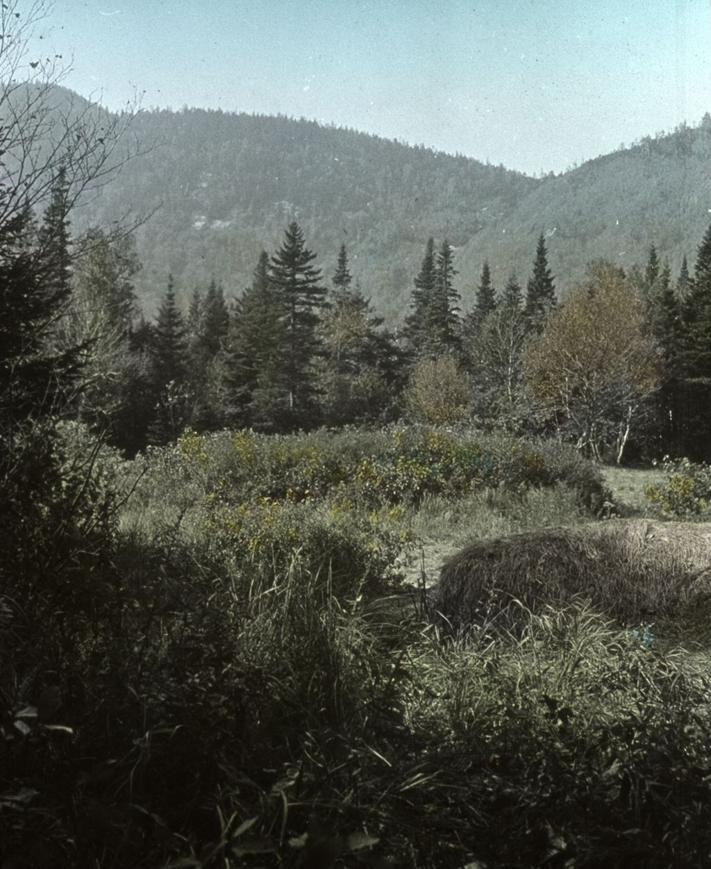 Miniature of Chilcoot Pass from Beaver Meadows