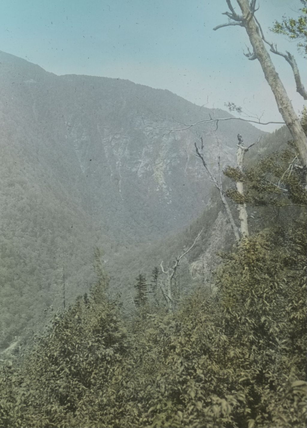 Miniature of Trail from Sterling Pond to Smugglers' Notch