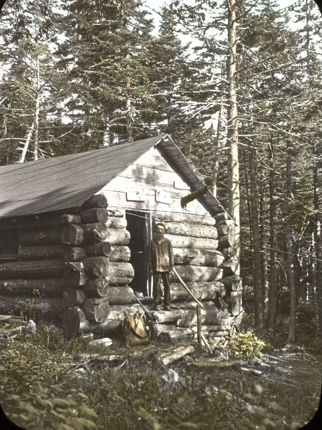 Miniature of Forester named Bourne at Porcupine Lodge on Stratton Mountain