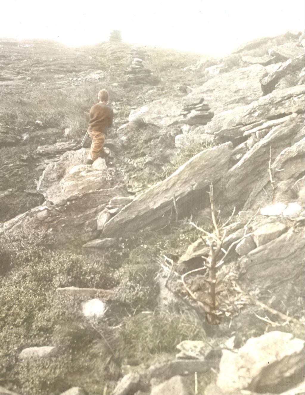 Miniature of Nearing the summit on the Couching Lion (Camel's Hump) New Trail