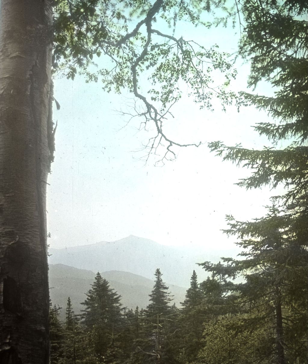 Miniature of Camel's Hump from lookout north of Dunsmoor Lodge on Bolton Mountain