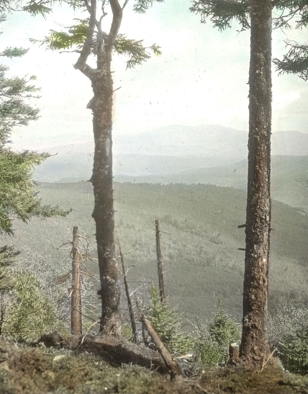 Miniature of Worcester lookout on the Couching Lion (Camel's Hump) New Trail