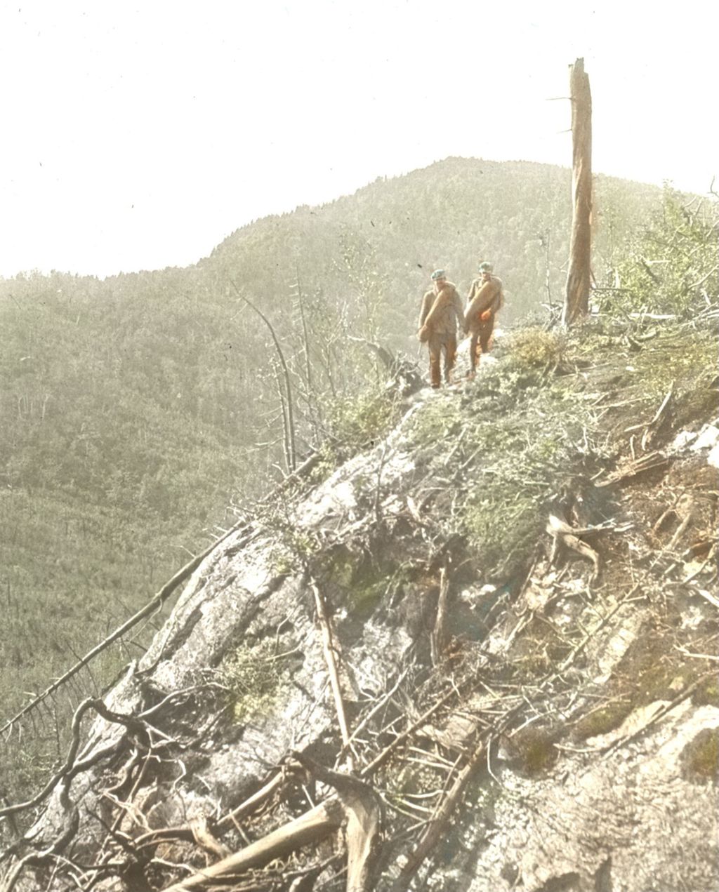 Miniature of A view of Mount Ethan Allen looking South from the first knoll along the New Trail on Couching Lion (Camel's Hump)