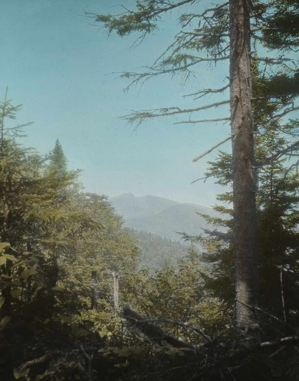 Miniature of Mount Mansfield from a lookout on the north side of Bolton Mountain