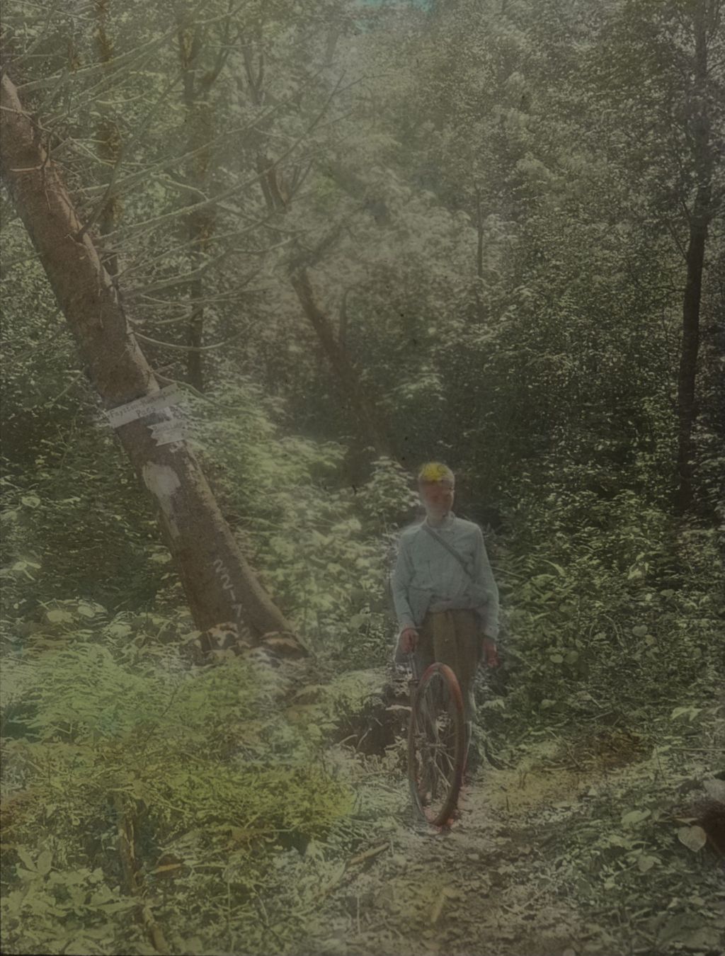 Miniature of Lyman Burnham and measuring wheel at Hanksville-Fayston pass