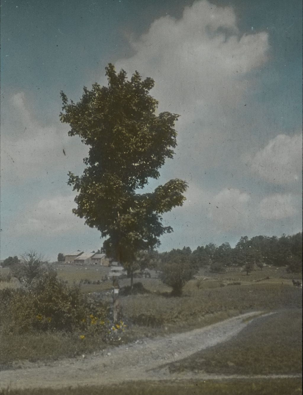 Miniature of Potvins Fork on the Halfway House Trail to Mansfield