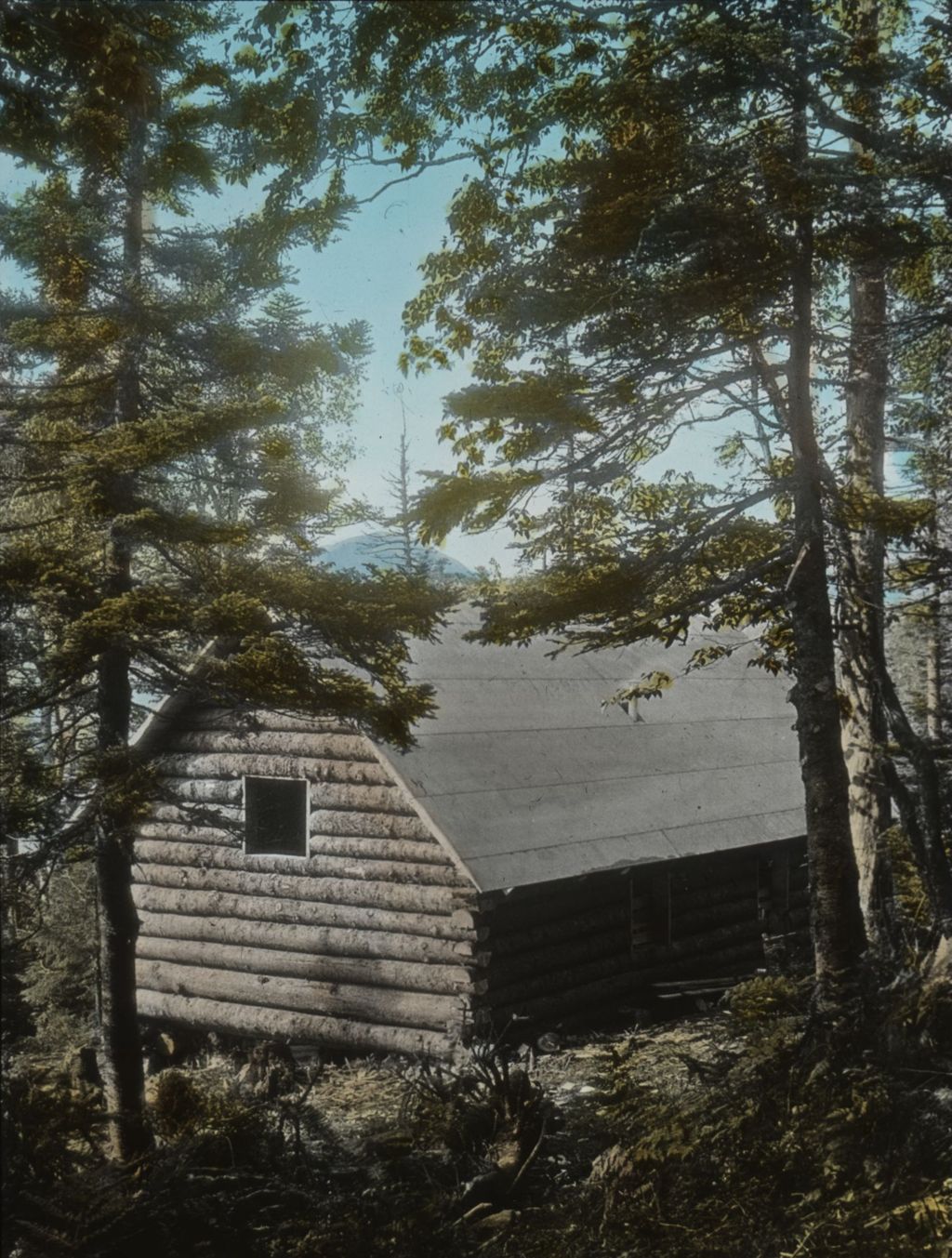 Miniature of Elihu B. Taft Lodge from the rear