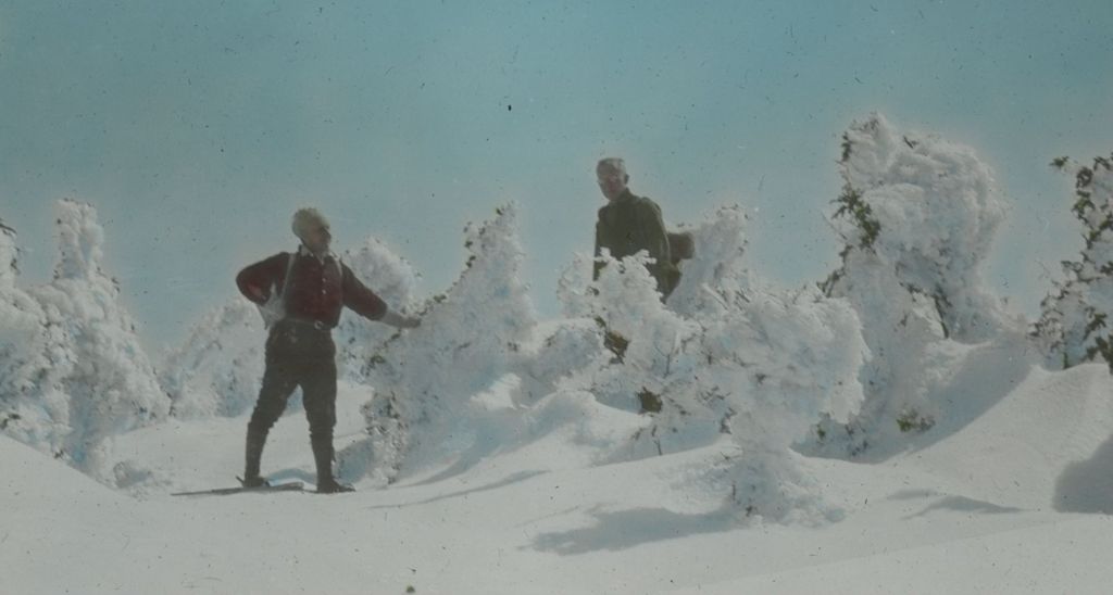 Miniature of The top of Mount Mansfield