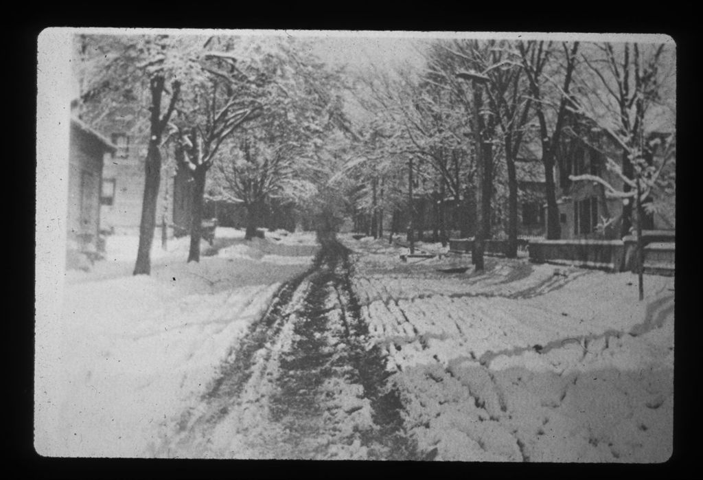 Miniature of Maple Street (Elbow Street)