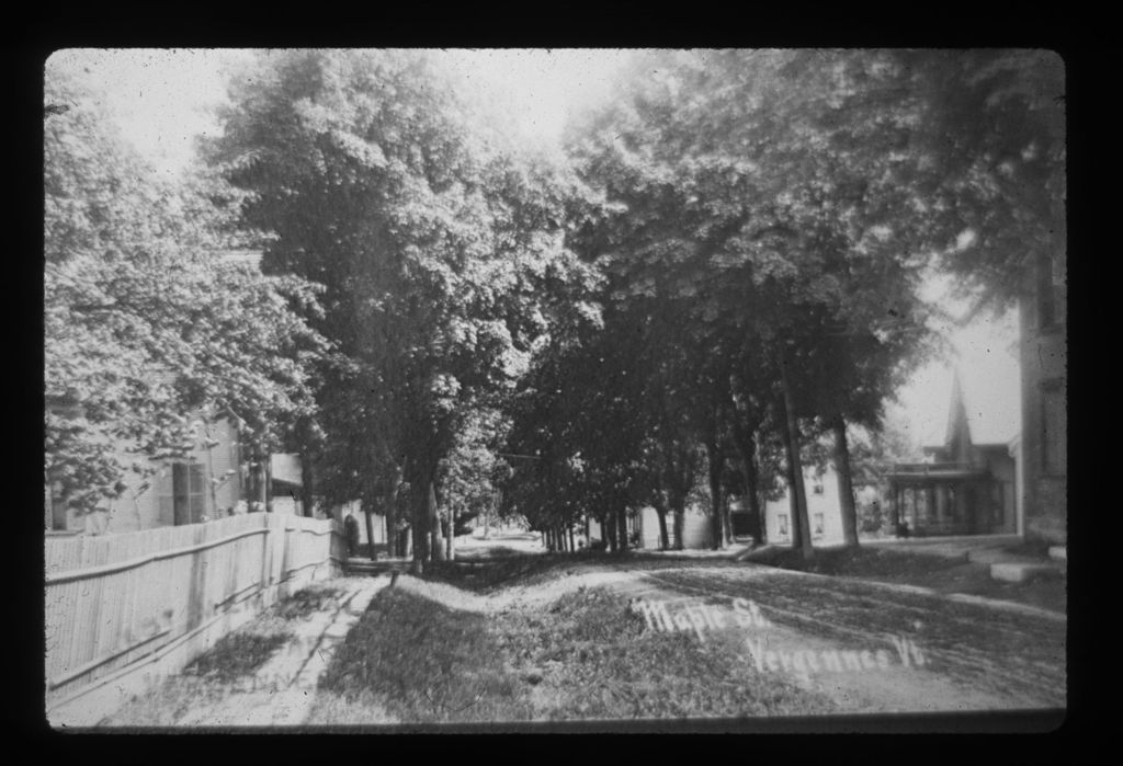 Miniature of Maple Street