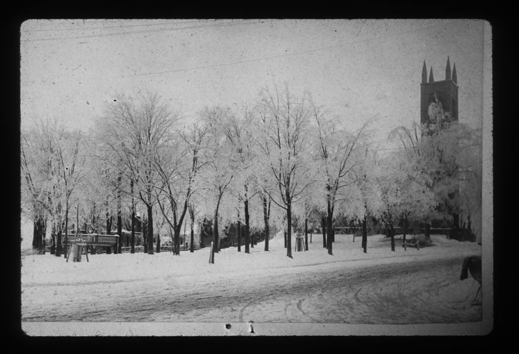 Miniature of The Park in Winter