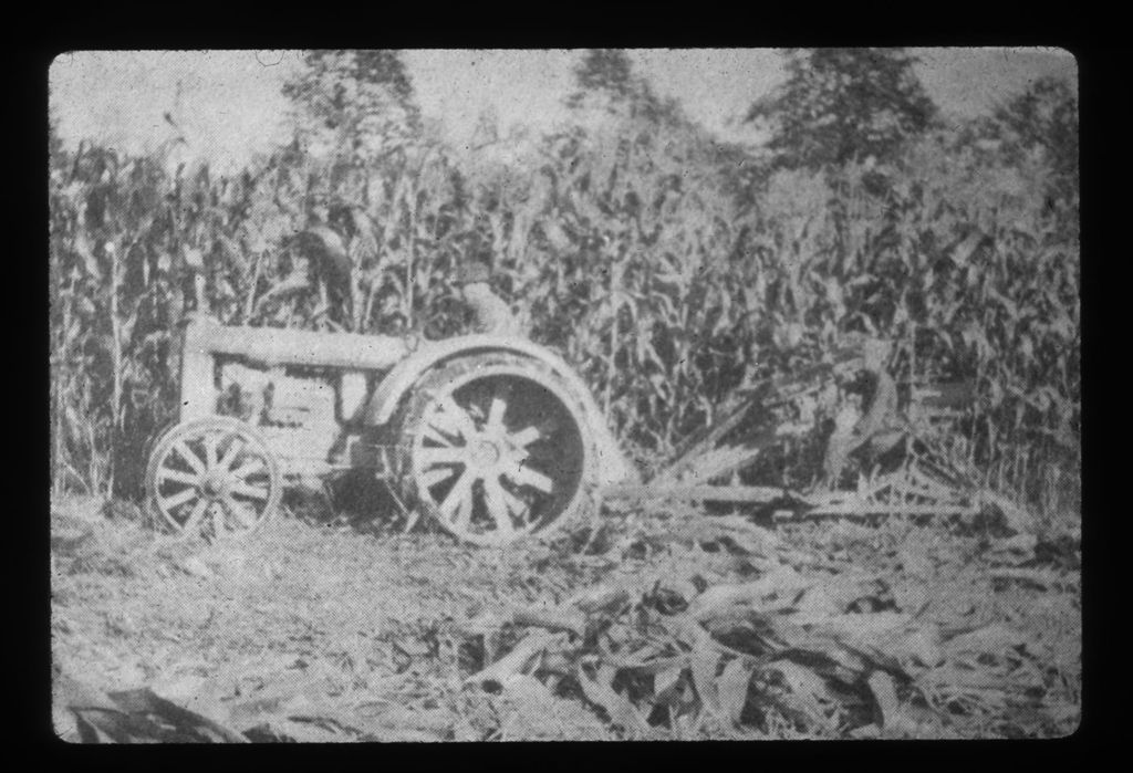 Miniature of Harvesting Corn