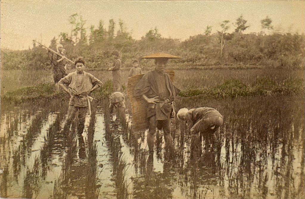 Miniature of Group of farmers tending to their crops