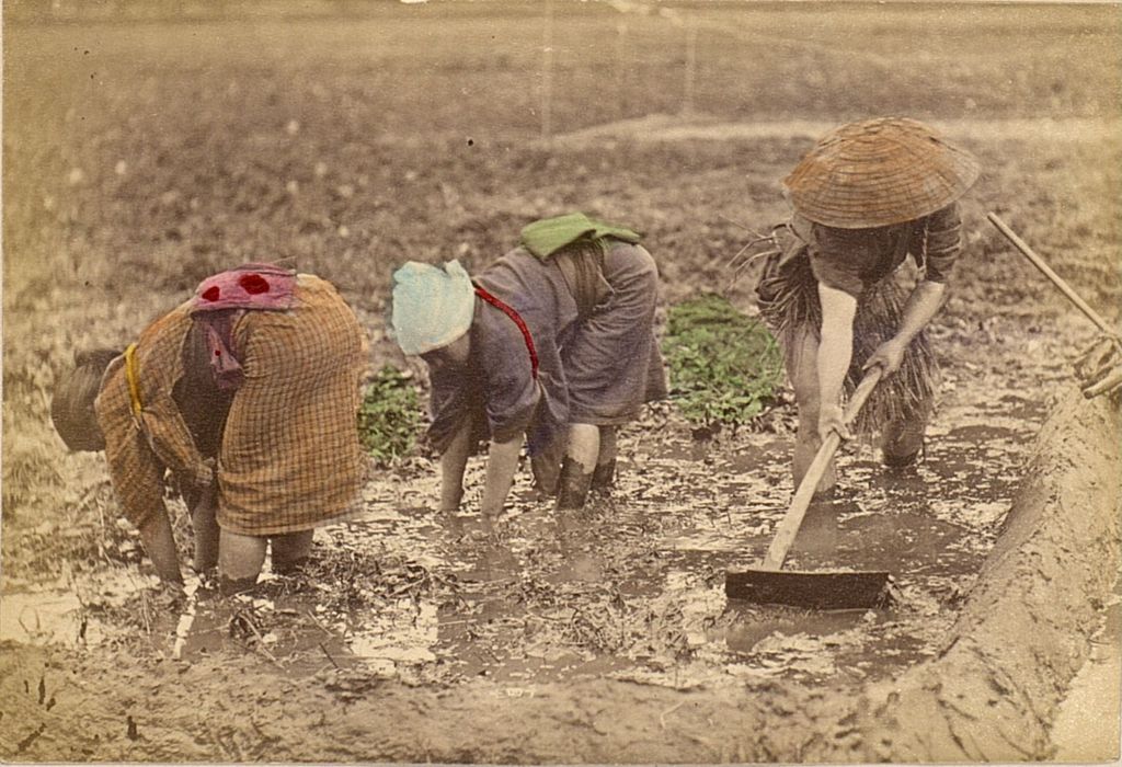 Miniature of Farmers planting their crop