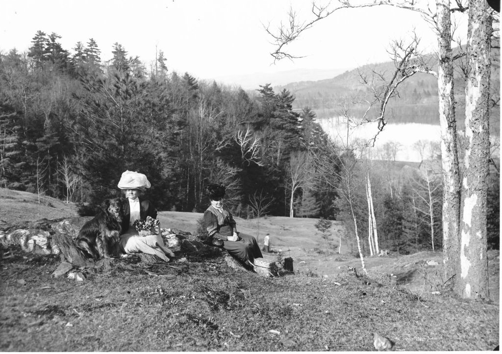 Miniature of Asylum Meadow, two women having a picnic on a hillside with a dog