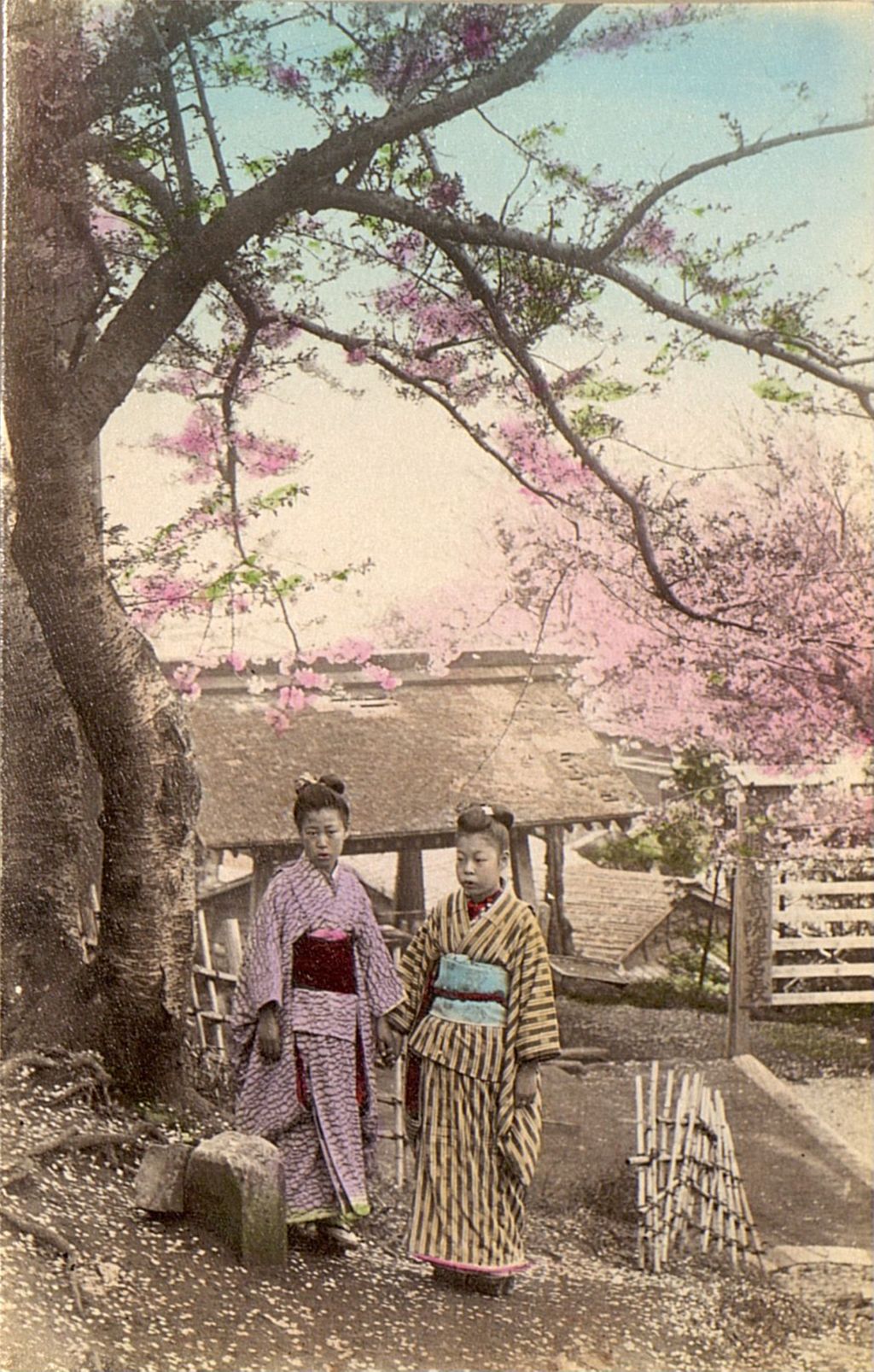 Miniature of Two women under a blooming Sakura tree