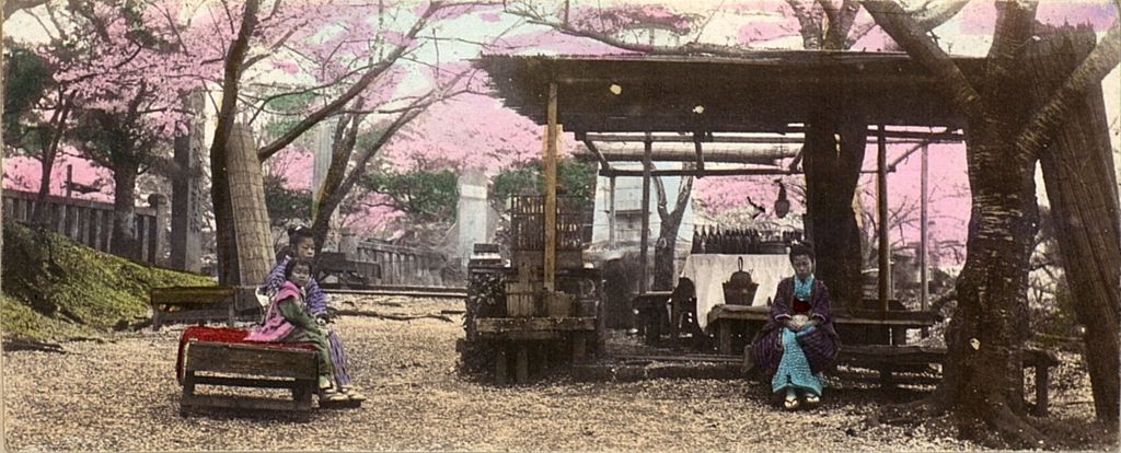 Miniature of Two women and a child siting below Sakura Trees