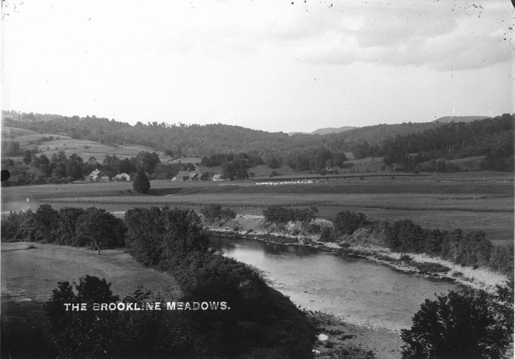 Miniature of The Brookline Meadows