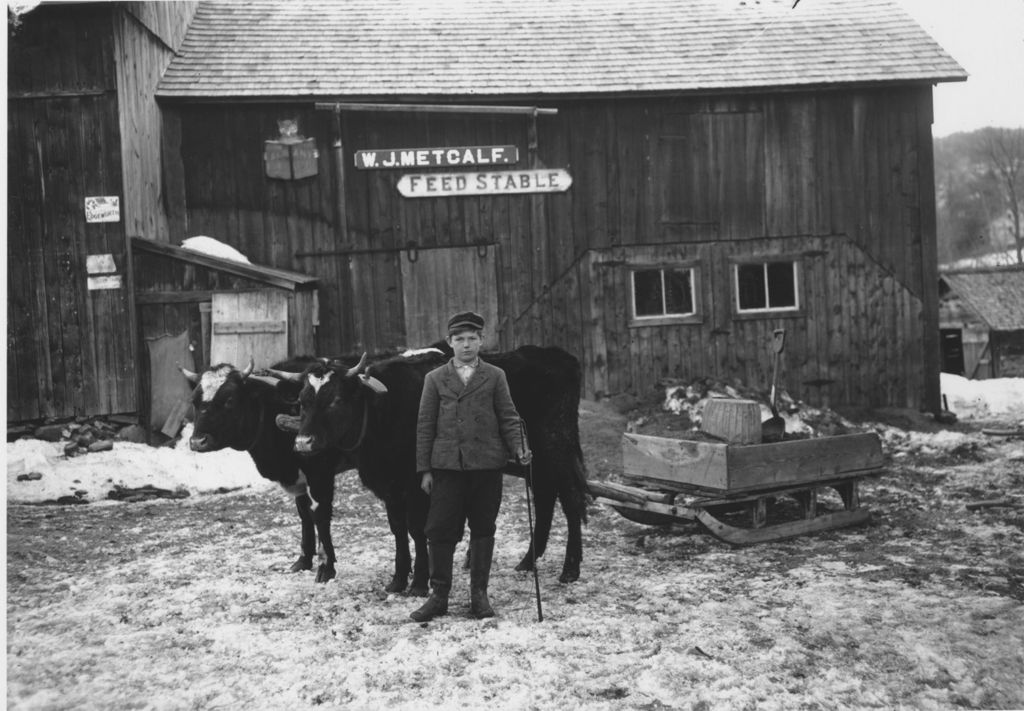 Miniature of W.J. Metcalf Feed, Stable with boy and oxen team in front