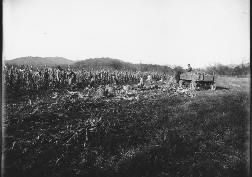 Miniature of Henry Wilson's Cornfield on Dummerston Hill