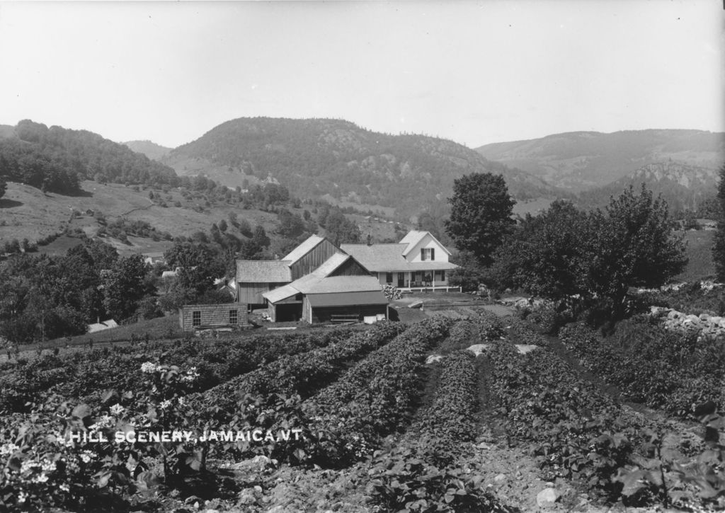 Miniature of Hill Scenery, Jamiaca, Vt.