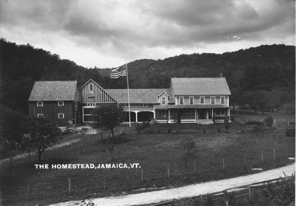 Miniature of The Homestead, Jamaica, Vt.