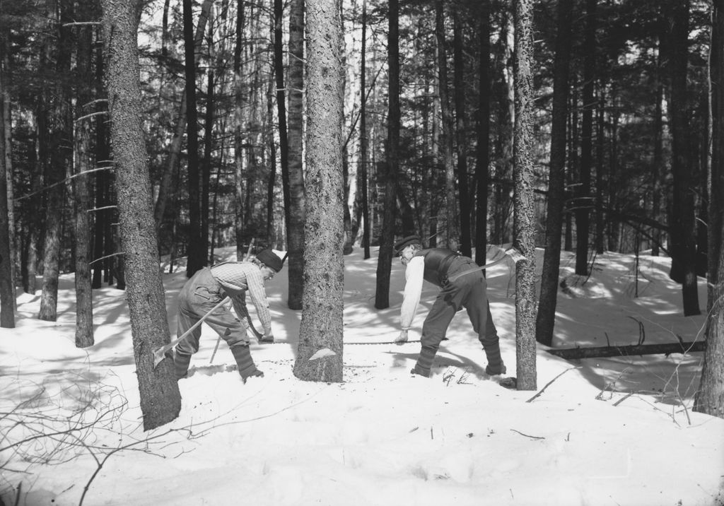 Miniature of Men logging with cross cut saw in woods, Newfane, Vt.