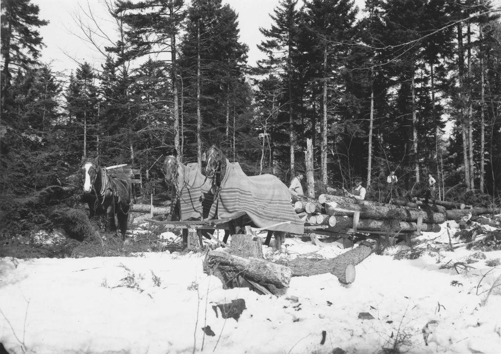 Miniature of Men logging with Horse Team in the Woods, Newfane, Vt.