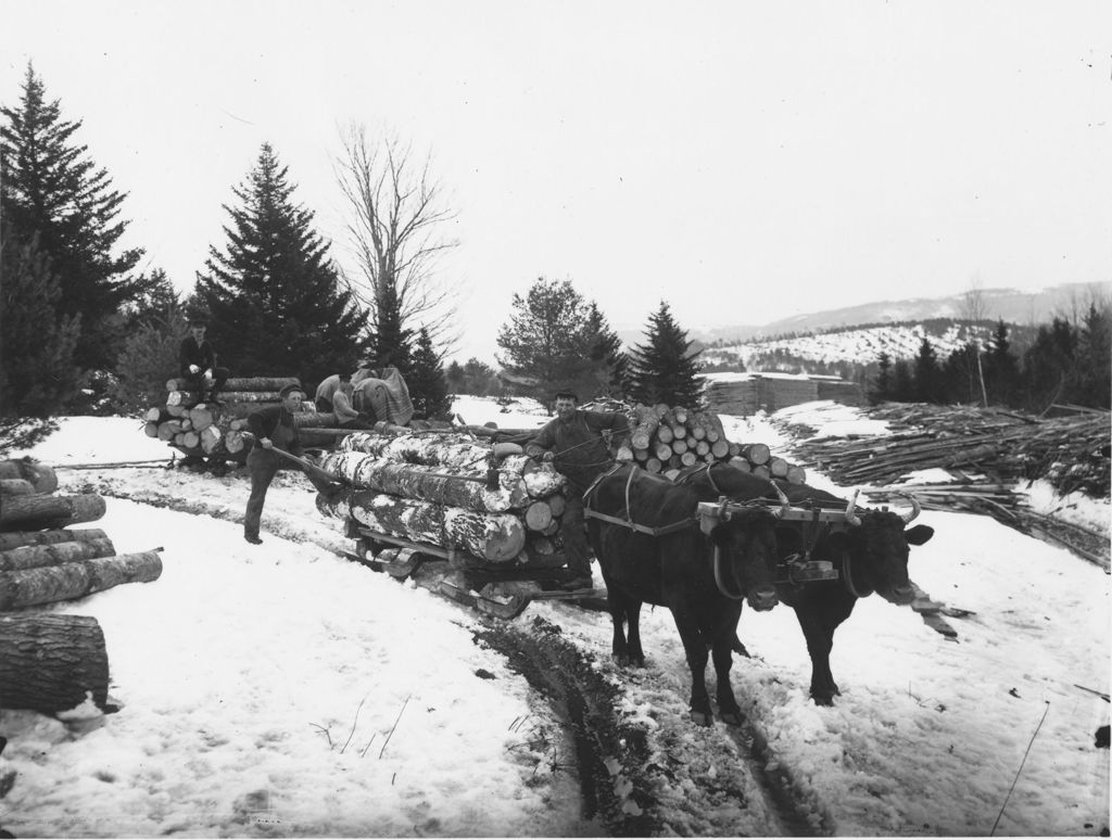 Miniature of Men logging with Oxen Team in the Woods, Newfane, Vt.