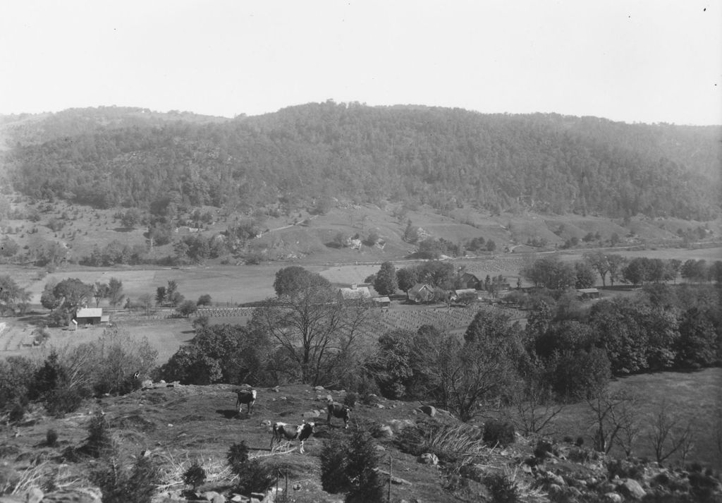 Miniature of Landscape with cows in a field, Townshend, Vt.