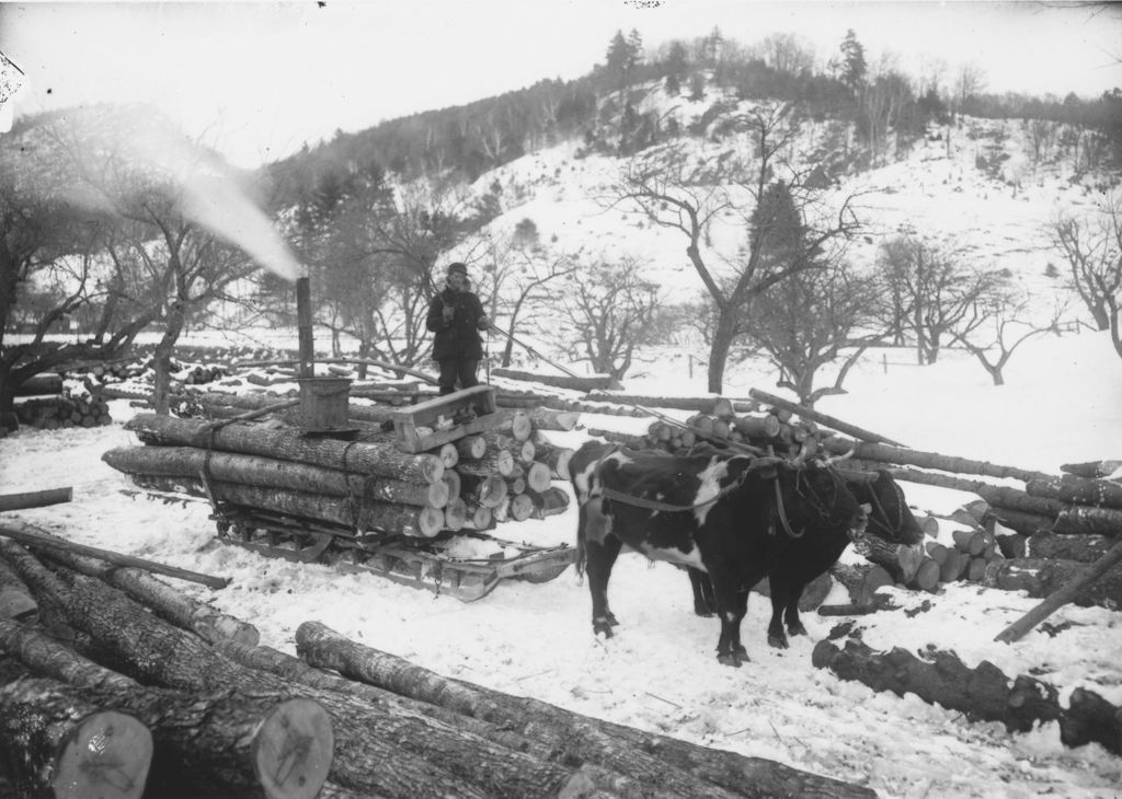 Miniature of Transporting logs in winter, Townshend, Vt.