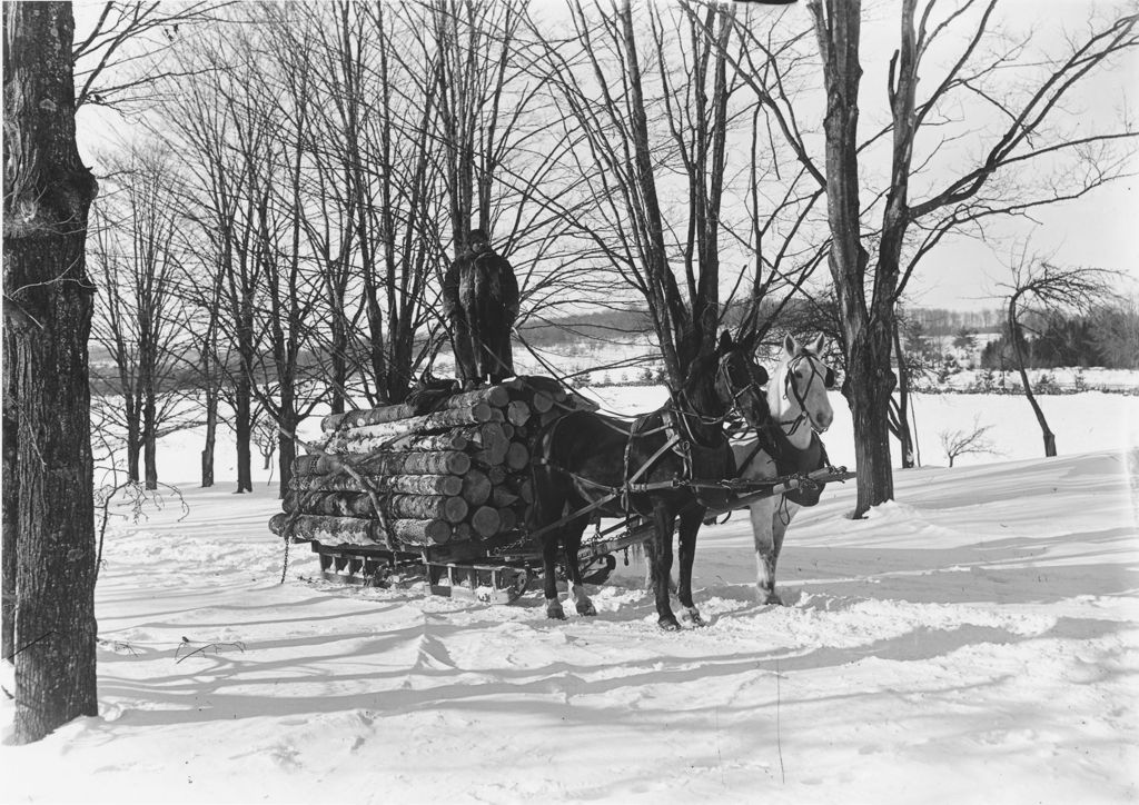 Miniature of Mr. Allen standing on his sled loaded with logs, Wardsboro, Vt.