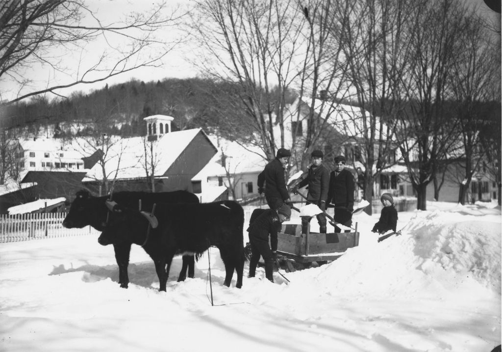 Miniature of Kids using oxen for snow removal, Williamsville, Vt.