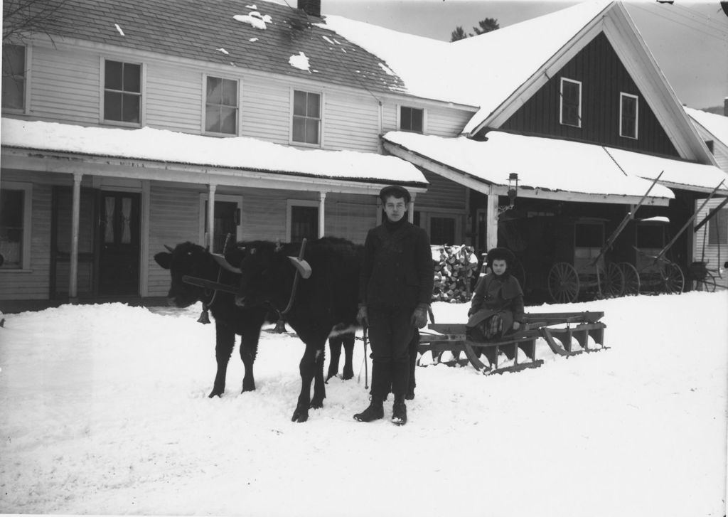 Miniature of Frank and Grace Stratton with oxen and sled in snow, Williamsville, Vt.