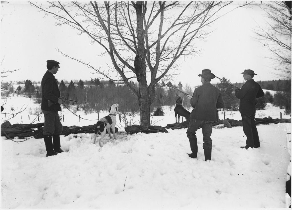 Miniature of Men and dog on a coon hunt, Williamsville, Vt.