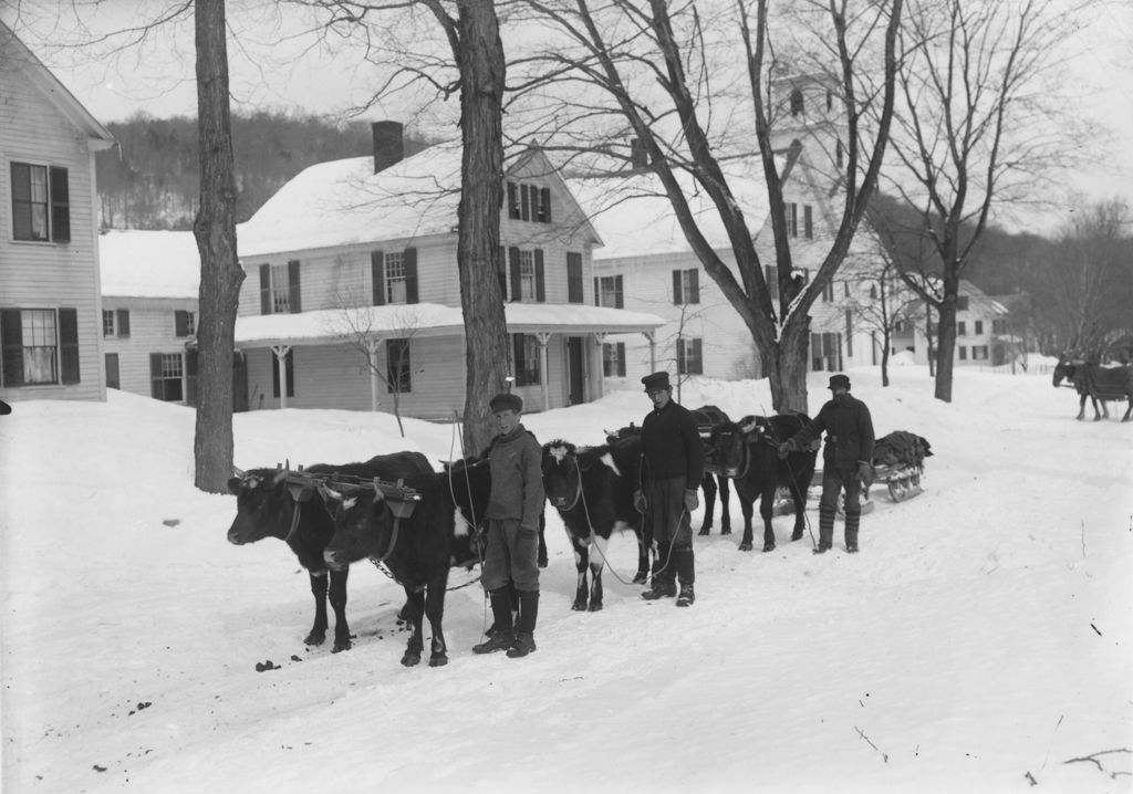 Miniature of Young men with 6 oxen team and sled, Marlboro, Vt.