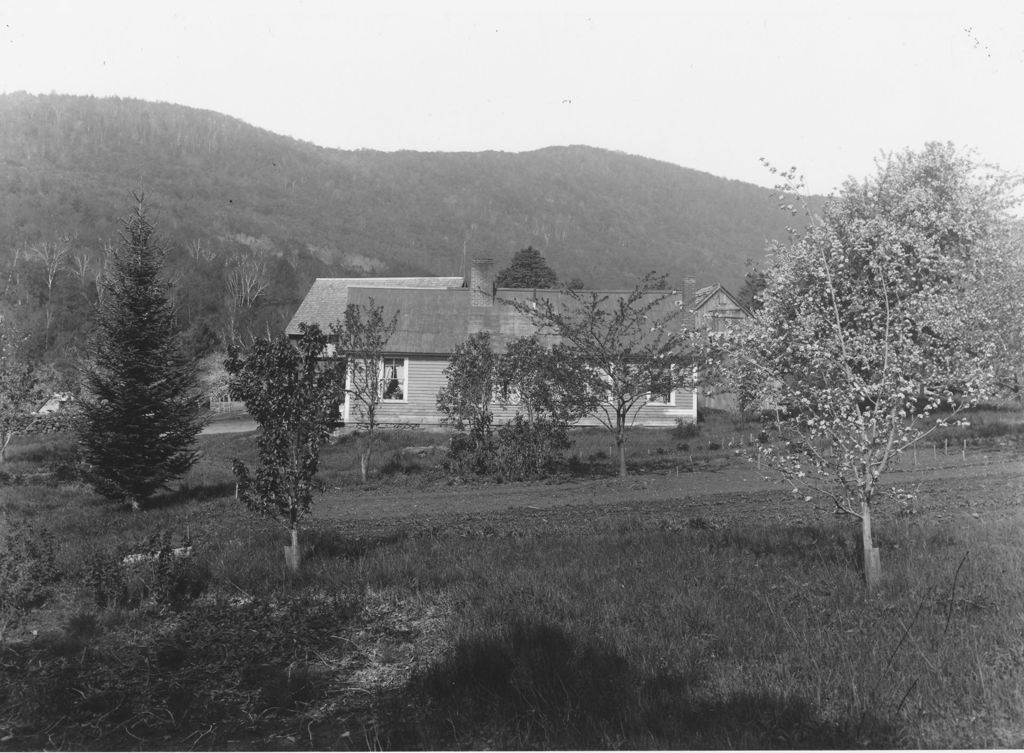 Miniature of House behind trees, Williamsville, Vt.