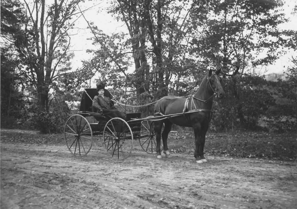 Miniature of Mrs. Locke Hale (Lucy) in horse carriage, Williamsville, Vt.