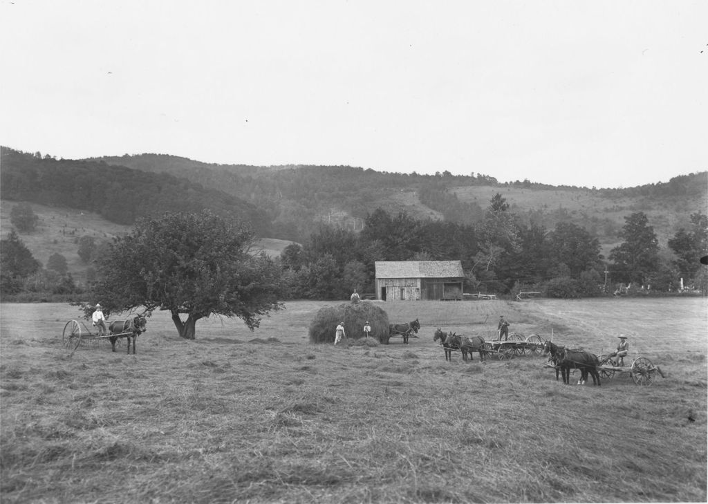 Miniature of Haying in a field in Williamsville, Vt.