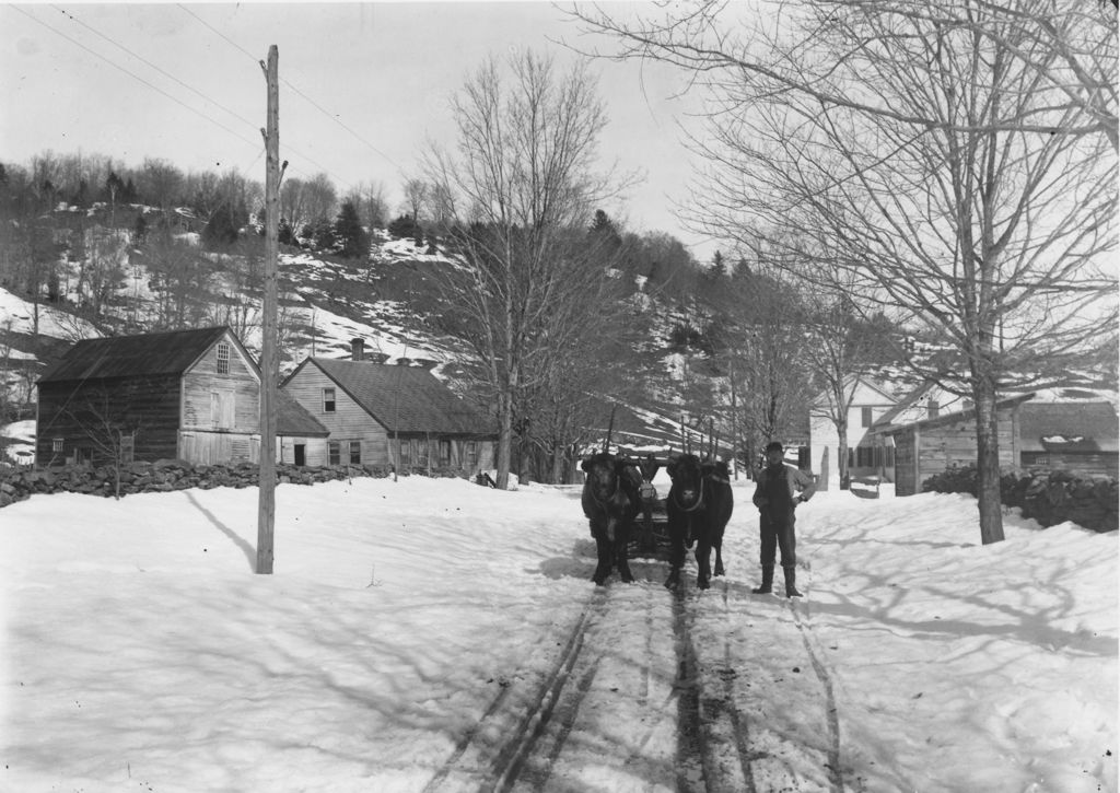 Miniature of Man with team of steers in the road in winter, Williamsville, Vt