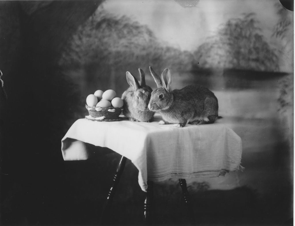 Miniature of Rabbits and eggs in a studio photograph