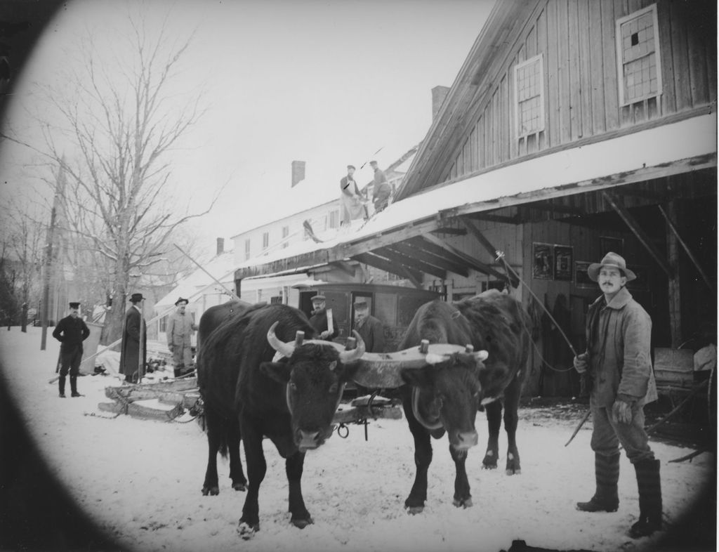 Miniature of Man with oxen in front of business, Williamsville, Vt.