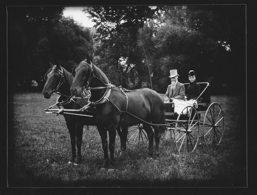 Miniature of Portrait of a couple in a horse-drawn buggy, Williamsville, Vt.