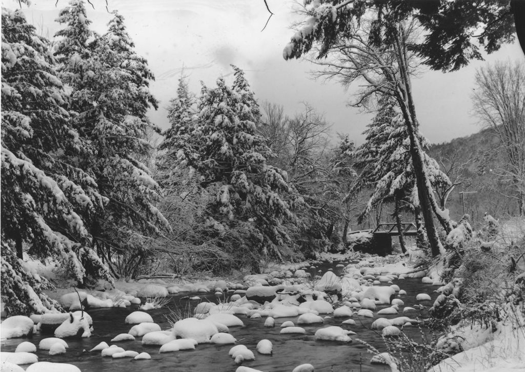 Miniature of Smith Brook Bridge, Newfane, Vt.