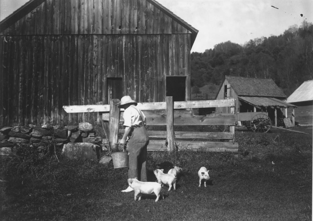 Miniature of Barnyard with Edith Thayer feeding pigs