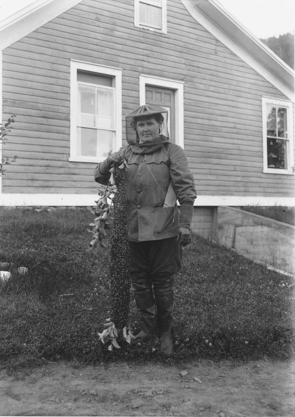 Miniature of Woman in bee suit with a swarm of bees, Newfane, Vt.