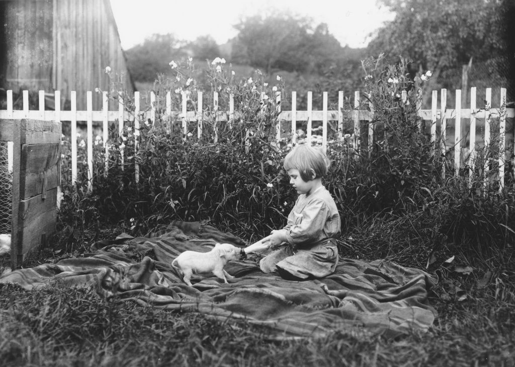 Miniature of Child feeding a pig a bottle, Newfane, Vt.