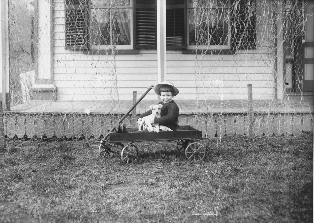 Miniature of Small child in a wagon with a puppy