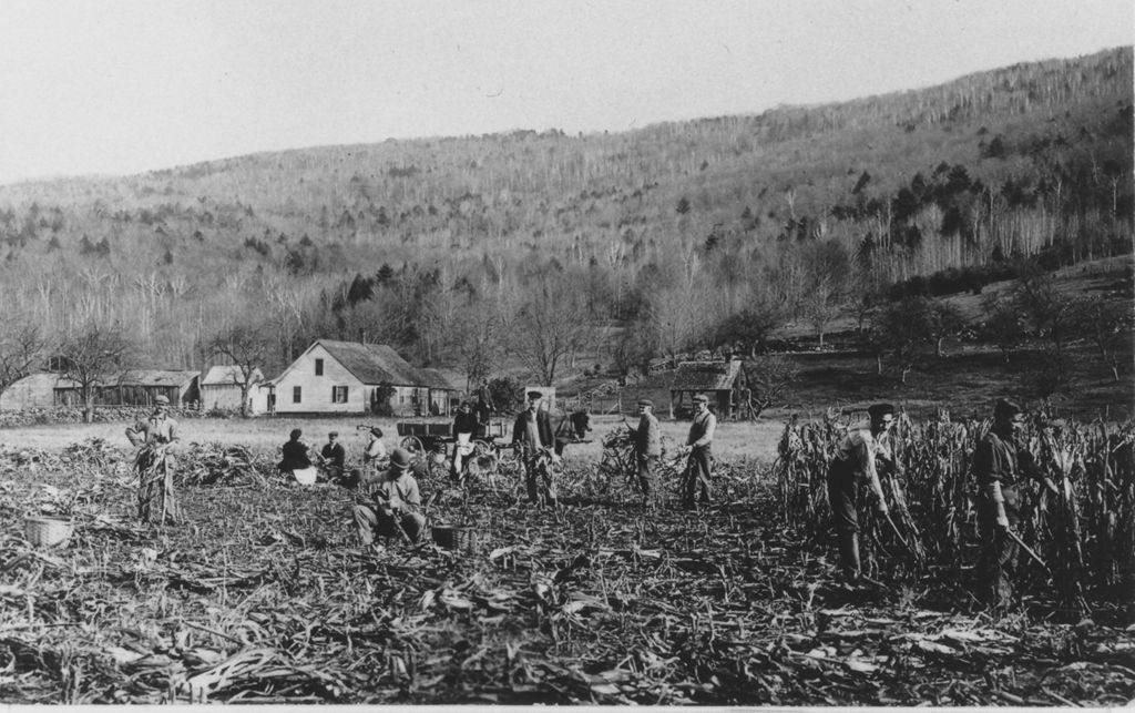 Miniature of People working in a cornfield, Brookside, Vt.