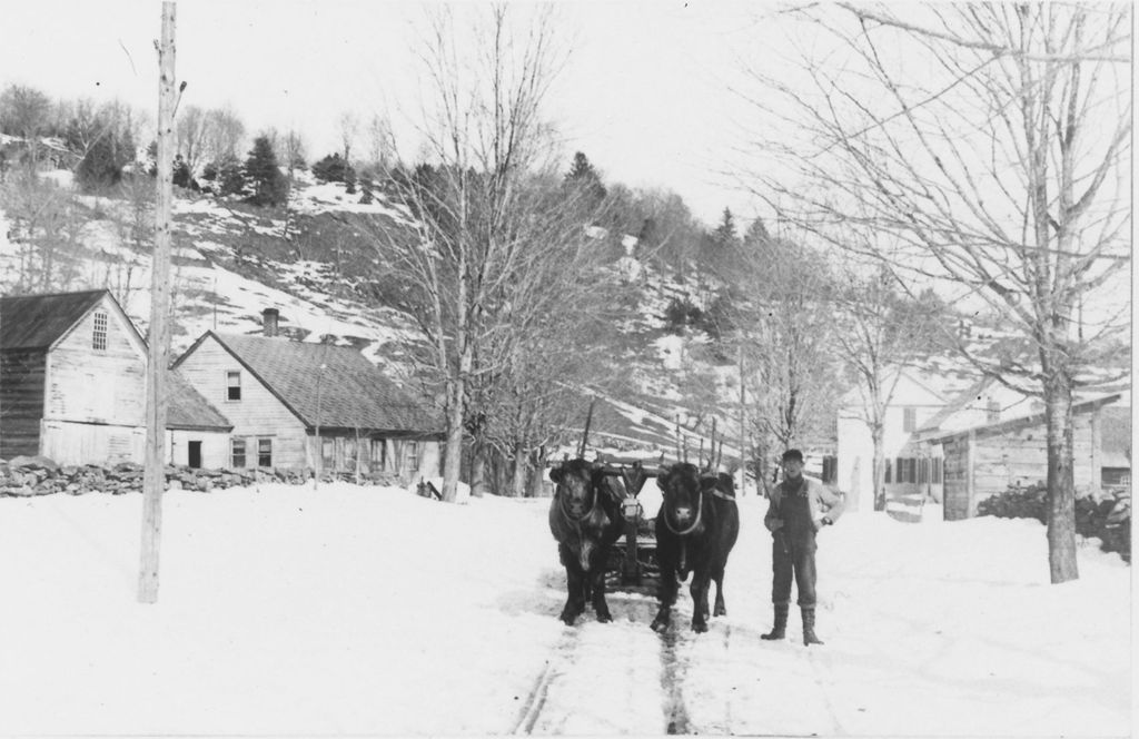 Miniature of Oxen pulling sled down winter road in Townshend, Vt.